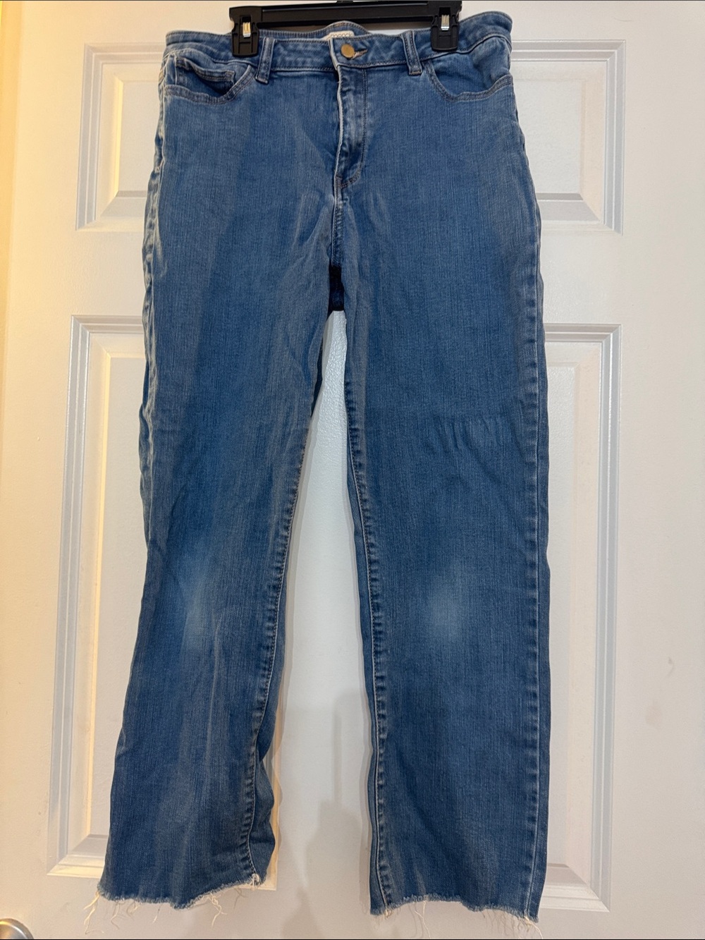 eva mendes for New York & Company medium blue denim jeans